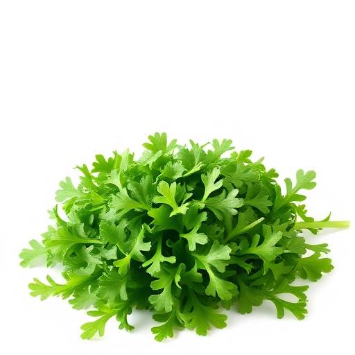 Arugula