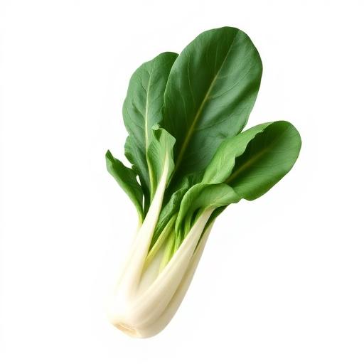 Bok Choy