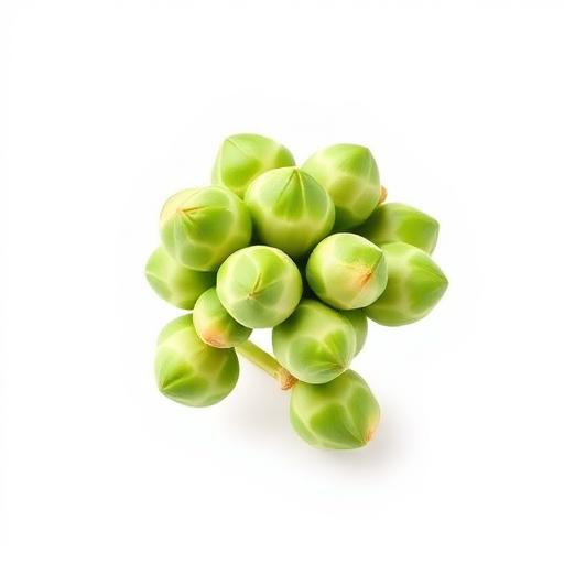 Brussels Sprouts