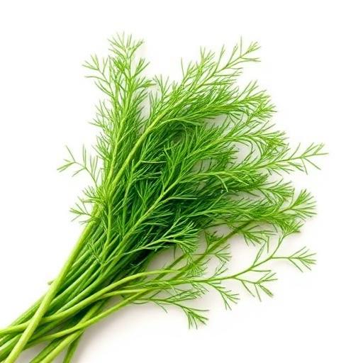 Dill