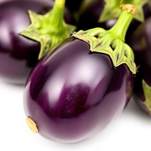 Eggplant