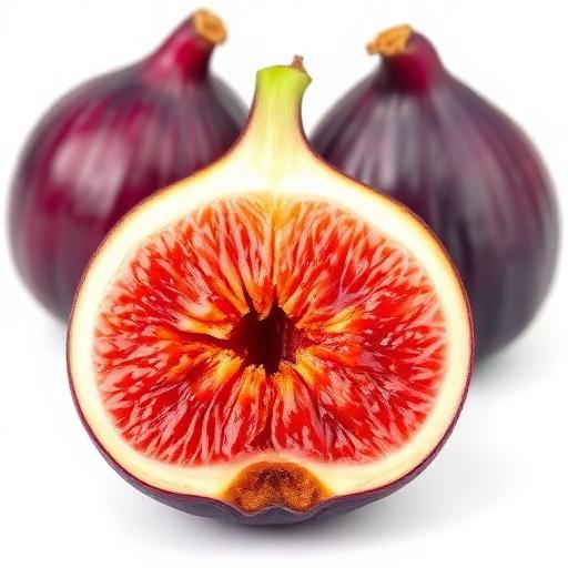 Fig