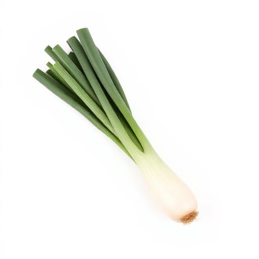 Leek