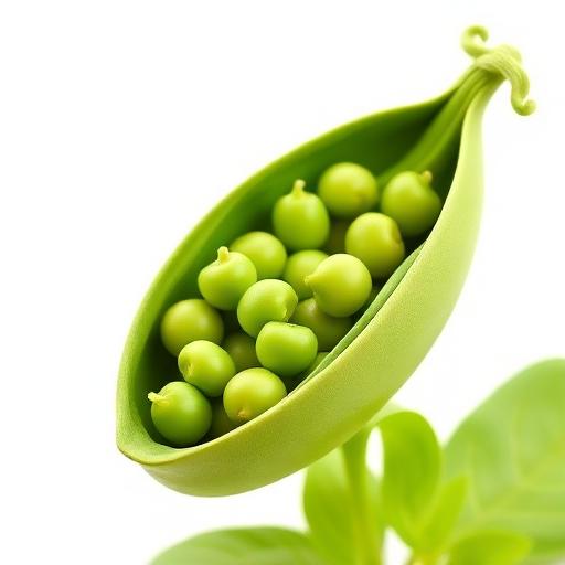 Pea