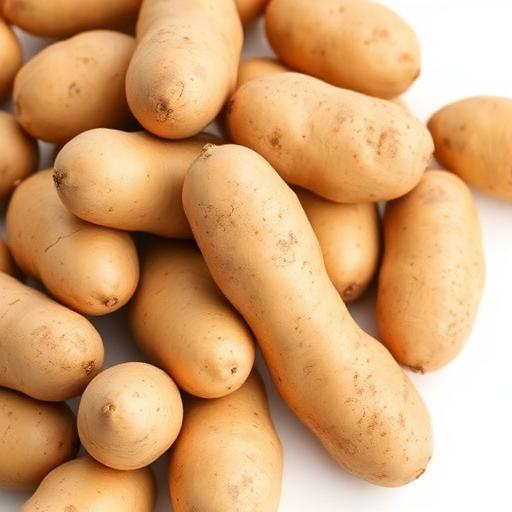 Potato