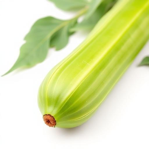 Snake Gourd