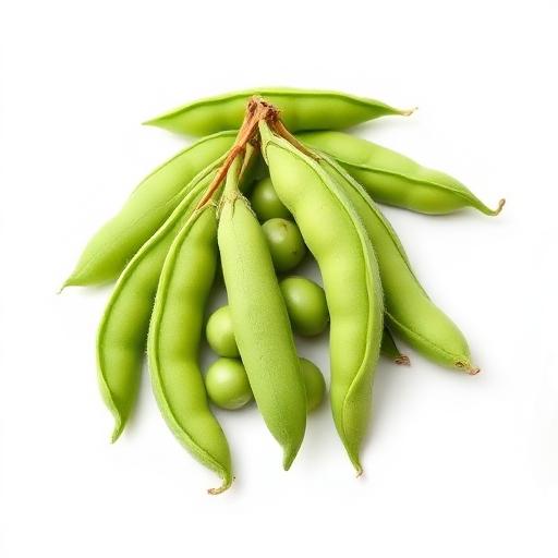 Soybean