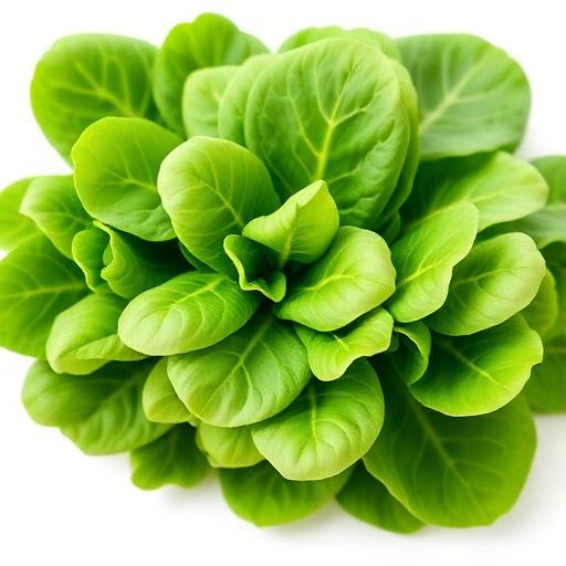 Spinach