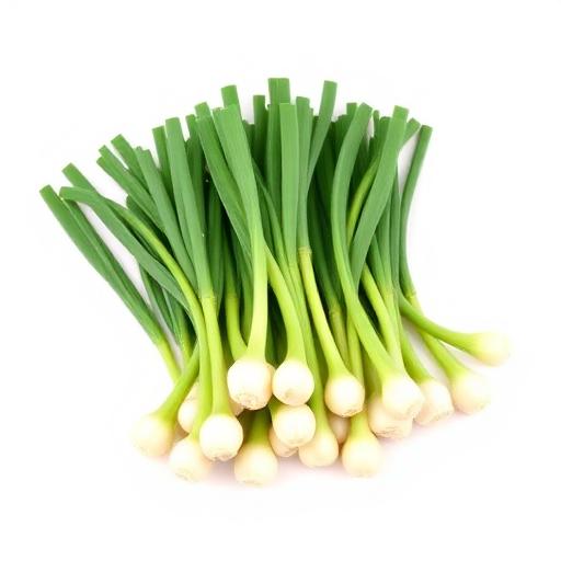 Spring Onion